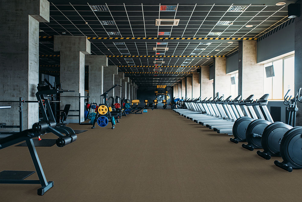 Fitness Center with Pentz Carpet Flooring