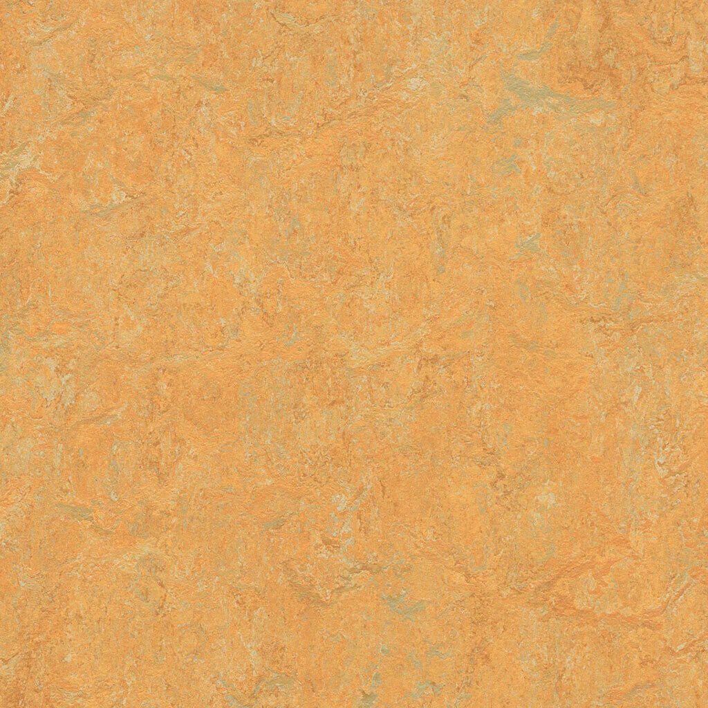 Forbo Marmoleum Marbled Real 3847-10747 Golden Saffron Linoleum Sheet Flooring (79" Width)