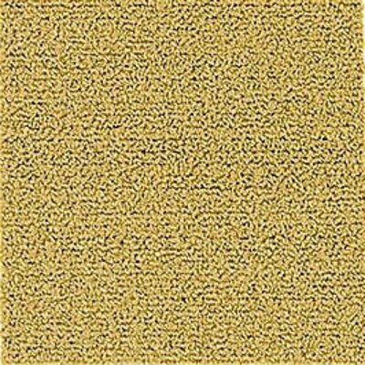 Aladdin Color Pop Carpet Tile 2B50-142 Ground Turmeric 24" x 24" (72 SF/Box)