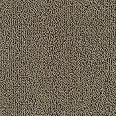 Aladdin Color Pop Carpet Tile 2B50-678 Driftwood 24" x 24" (72 SF/Box)