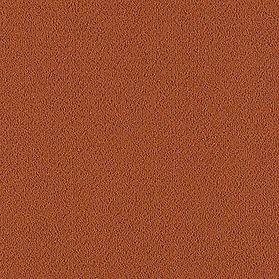 Aladdin Color Pop Carpet Tile 2B50-258 Cajun Spice 24" x 24" (72 SF/Box)
