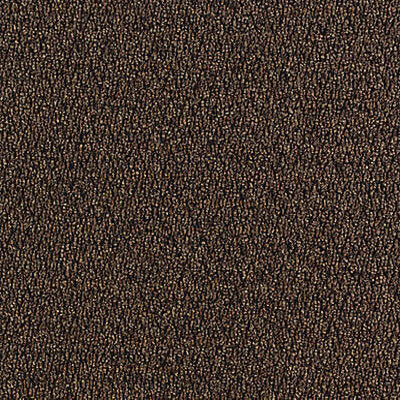 Aladdin Walk The Walk QA68-859 Walnut 24" x 24" Carpet Tile (56 SF/Box)