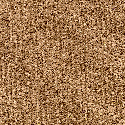 Aladdin Color Pop Carpet Tile 2B50-168 Mustard Seed 24" x 24" (72 SF/Box)