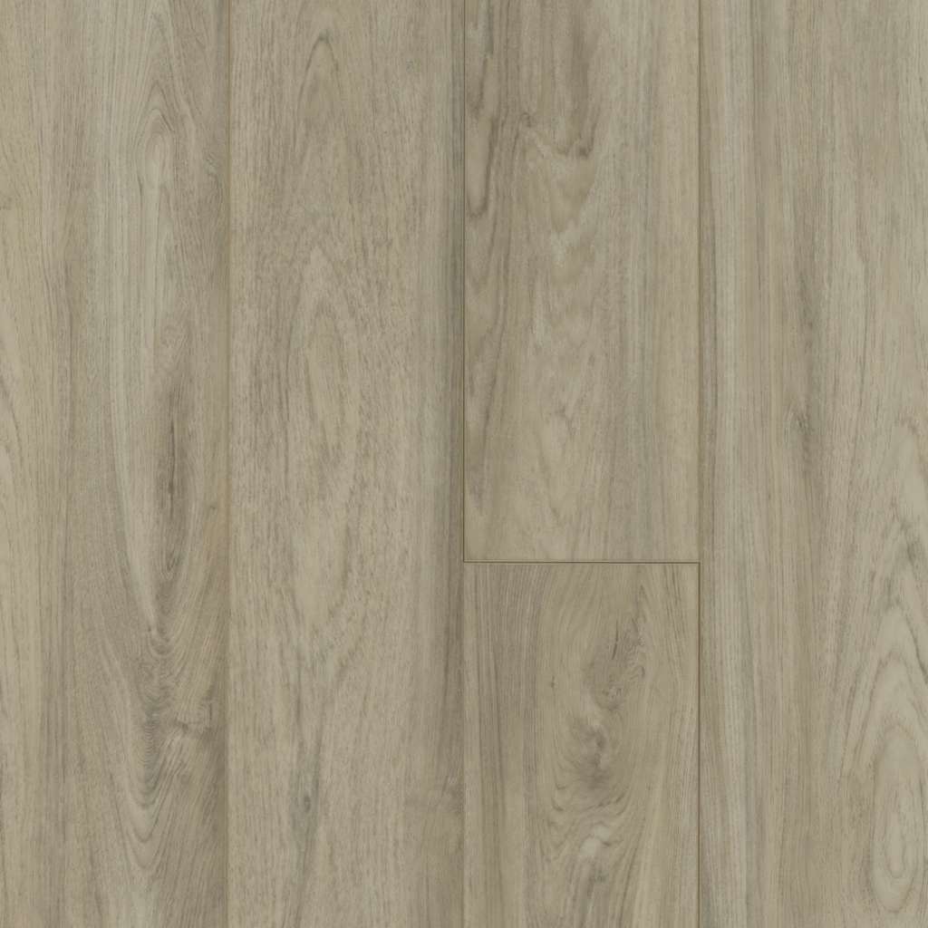 Shaw FLOORTE CLASSIC PANTHEON HD PLUS 2001V-01027 Pisa