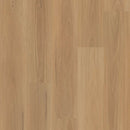 Shaw Distinction Plus Eucalyptus 2045V-00694 Luxury Vinyl Plank (Partial Piece - Sample)