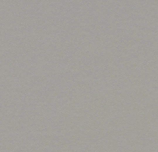 Forbo Marmoleum Walton 3371 Cement Linoleum Sheet Flooring (79" Width)