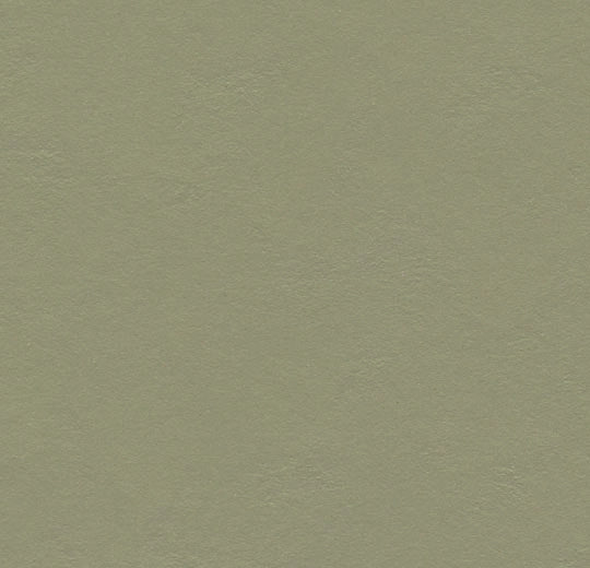 Forbo Marmoleum Decibel Acoustic Linoleum 335535 3.5 mm Rosemary Green Sheet (78.74" Width)