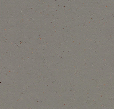 Forbo Solid Cocoa 3589 Nori Linoleum Sheet Flooring (79" Width)