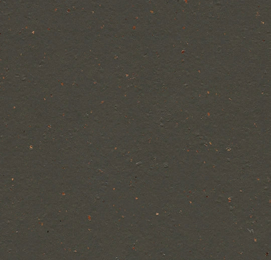 Forbo Solid Cocoa 3591 Black Tea Linoleum Sheet Flooring (79' Width)