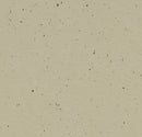 Forbo Solid Cocoa 3595 Pannacotta Linoleum Sheet Flooring (79' Width)