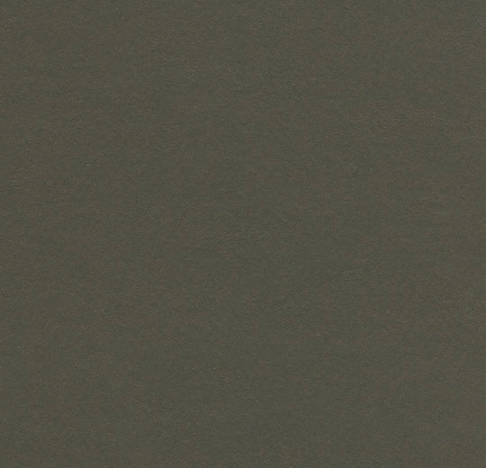 Forbo Marmoleum Walton 3376 Peat Linoleum Sheet Flooring (79" Width)