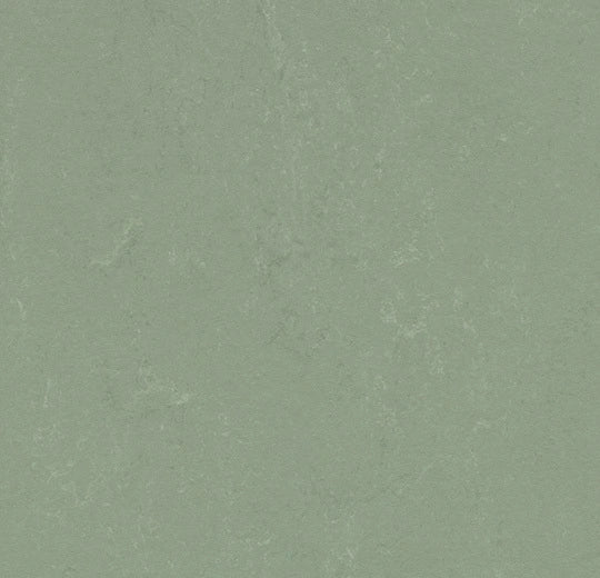 Forbo Solid Concrete 3750 Pine Forest Linoleum Sheet