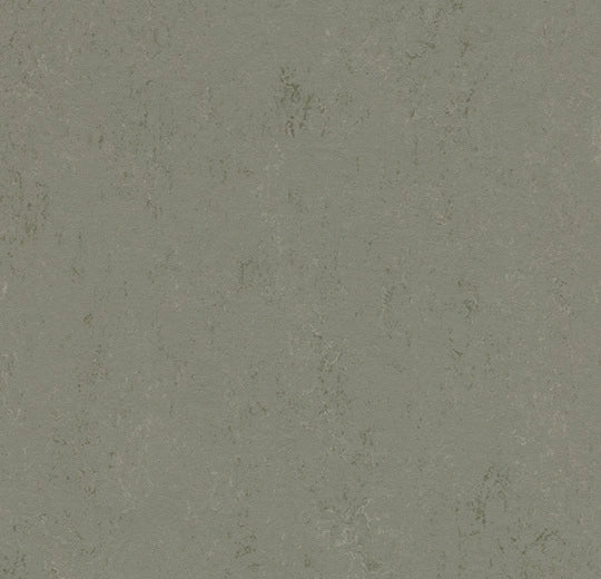 Forbo Solid Concrete 3755 Glacier Linoleum Sheet Flooring (79' Width)