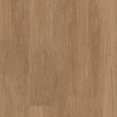 Shaw Floorte Aspire Natural Bevel 3381V-02110 Golden Shores 9" x 60" WPC Vinyl Plank Flooring (22.42 SF/Box)