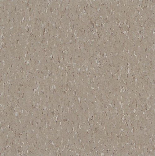 Armstrong 51804 Earthstone Greige Standard Excelon Imperial Texture Vinyl Composition Tile VCT 12" x 12" (Sample)