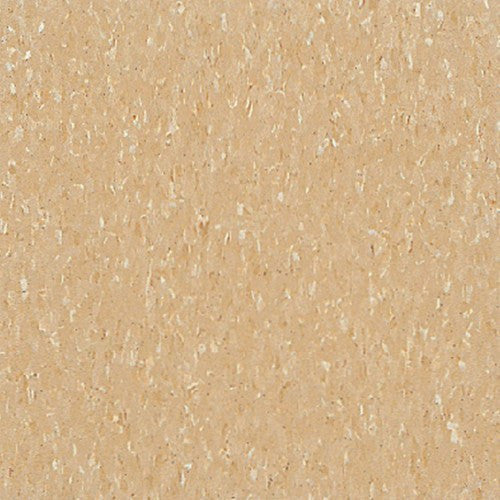 Armstrong 51805 Camel Beige Standard Excelon Imperial Texture Vinyl Composition Tile VCT (Partial Piece - Sample)