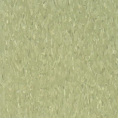 Armstrong 51866 Little Green Apple Standard Excelon Imperial Texture Vinyl Composition Tile VCT (Partial Piece - Sample)