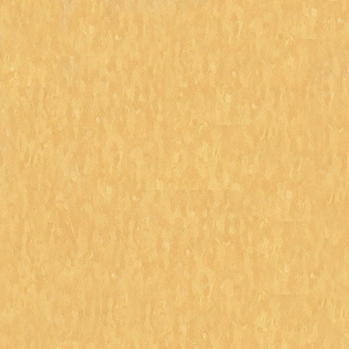 Armstrong 51878 Golden Standard Excelon Imperial Texture Vinyl Composition Tile VCT (Partial Piece - Sample)