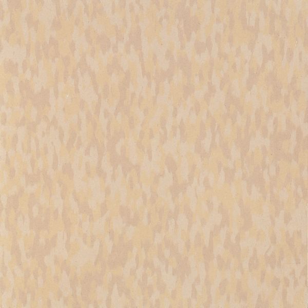 Armstrong Excelon SDT 51954 Sandstone Beige 12" x 12" VCT Tile (Sample)