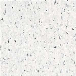 Armstrong Standard Excelon MultiColor 52513 Cirque White 12" x 12" VCT Tile (Sample)