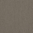 Shaw Beyond Limits 5th & Main 54936-00200 Prairie Carpet Tile (Partial Piece - Sample)