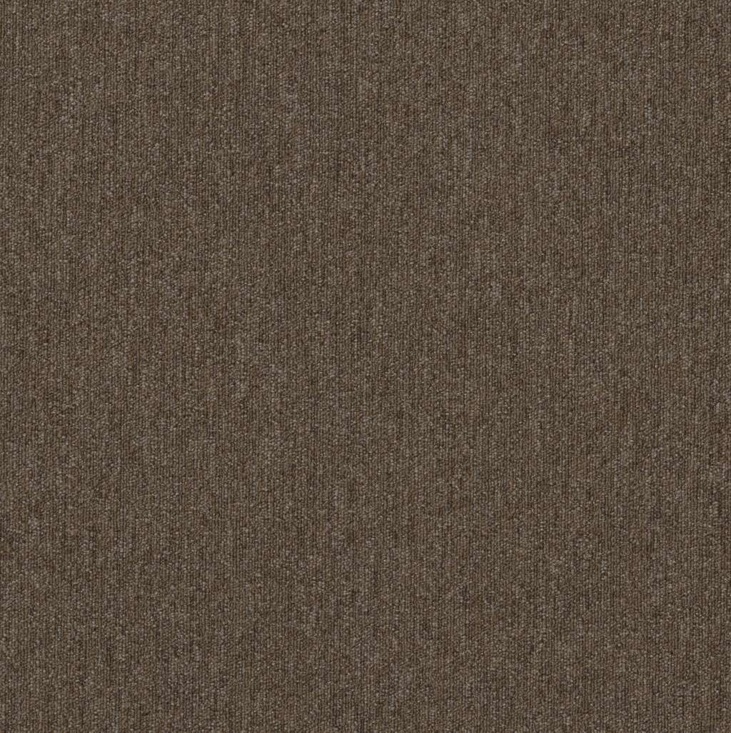 Shaw Beyond Limits 5th & Main 54936-00700 Fauna Carpet Tile (Partial Piece - Sample)