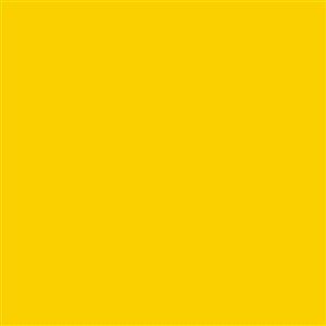 Armstrong Premium Excelon Feature Tile & Strip 56823 Yellow II 12" x 12" VCT Tile (Sample)