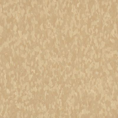 Armstrong 59241 Honey Standard Excelon Imperial Texture Vinyl Composition Tile VCT (Partial Piece - Sample)