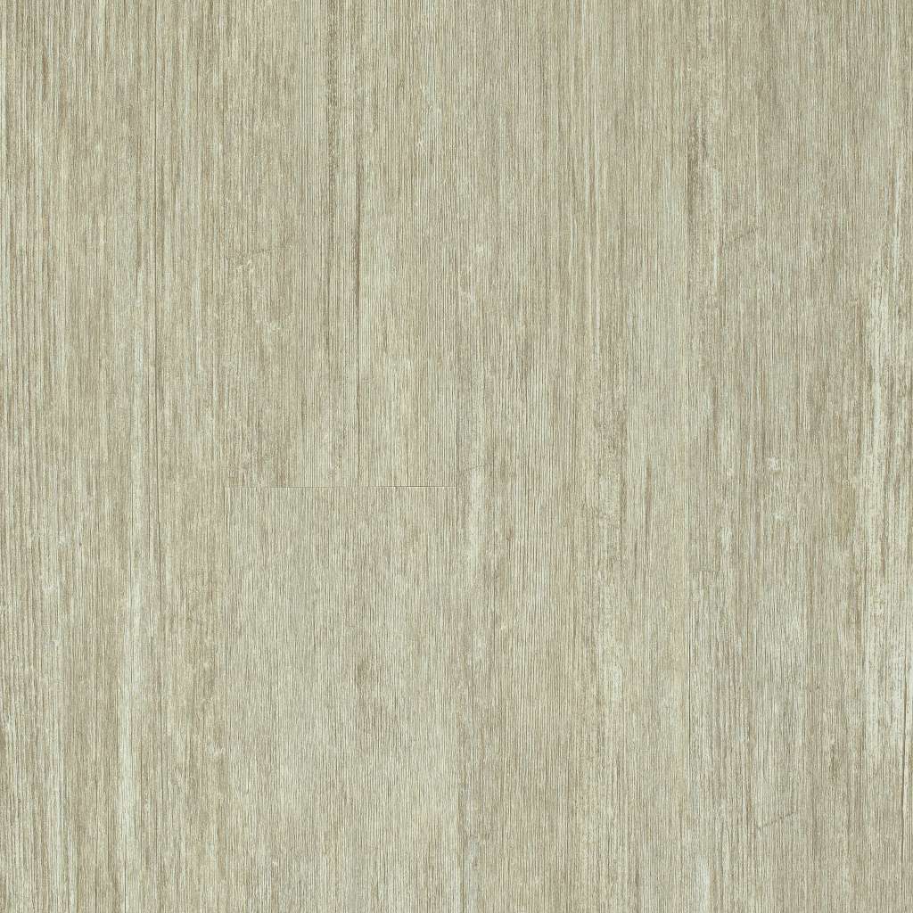 Shaw Symbiotic 20 5M303-00116 Grain Vinyl Plank (Partial Piece - Sample)