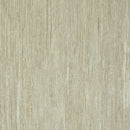 Shaw Symbiotic 20 5M303-00116 Grain Vinyl Plank (Partial Piece - Sample)