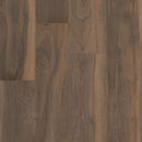 Shaw Symbiotic 5-0 5M308-00769 Terra Vinyl Plank (Partial Piece - Sample)