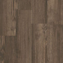 Shaw Symbiotic 5-0 5M308-07008 Sweetgum Vinyl Plank (Partial Piece - Sample)