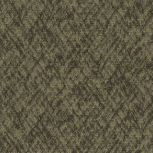 Pentz Carpet Homepage 7552T-3542 Cookies 24" x 24" (72 SF/Box)