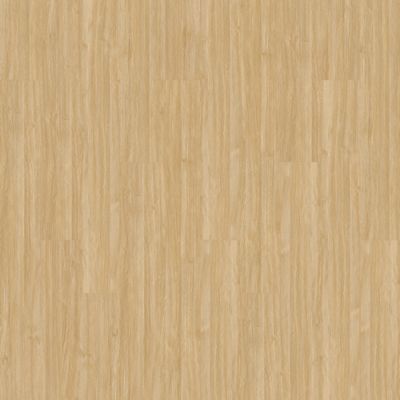 Aladdin Familiar Frontier II AH078-222 Amber 6" x 48" Glue Down LVT (54 SF/Box)