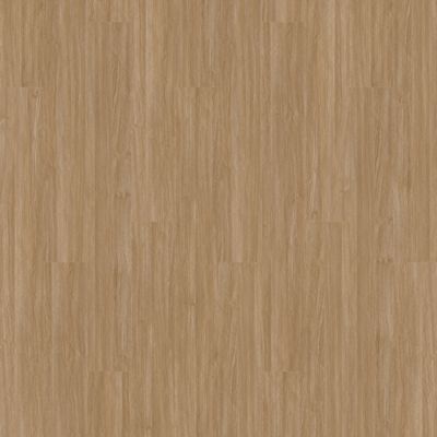 Aladdin Familiar Frontier II AH078-258 Tawny 6" x 48" Glue Down LVT