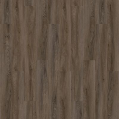 Aladdin Familiar Frontier II Plus AH080-868 Truffle 6" x 48" Glue Down LVT (54 SF/Box)