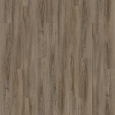 Aladdin Forest Lawn 2.5 AH124-838 Portobello 7.25" x 48" Glue Down LVT (58 SF/Box)