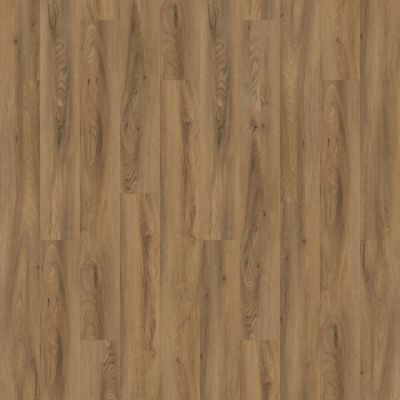 Aladdin Forest Lawn 2.5 AH124-848 Caramel 7.25" x 48" Glue Down LVT (58 SF/Box)