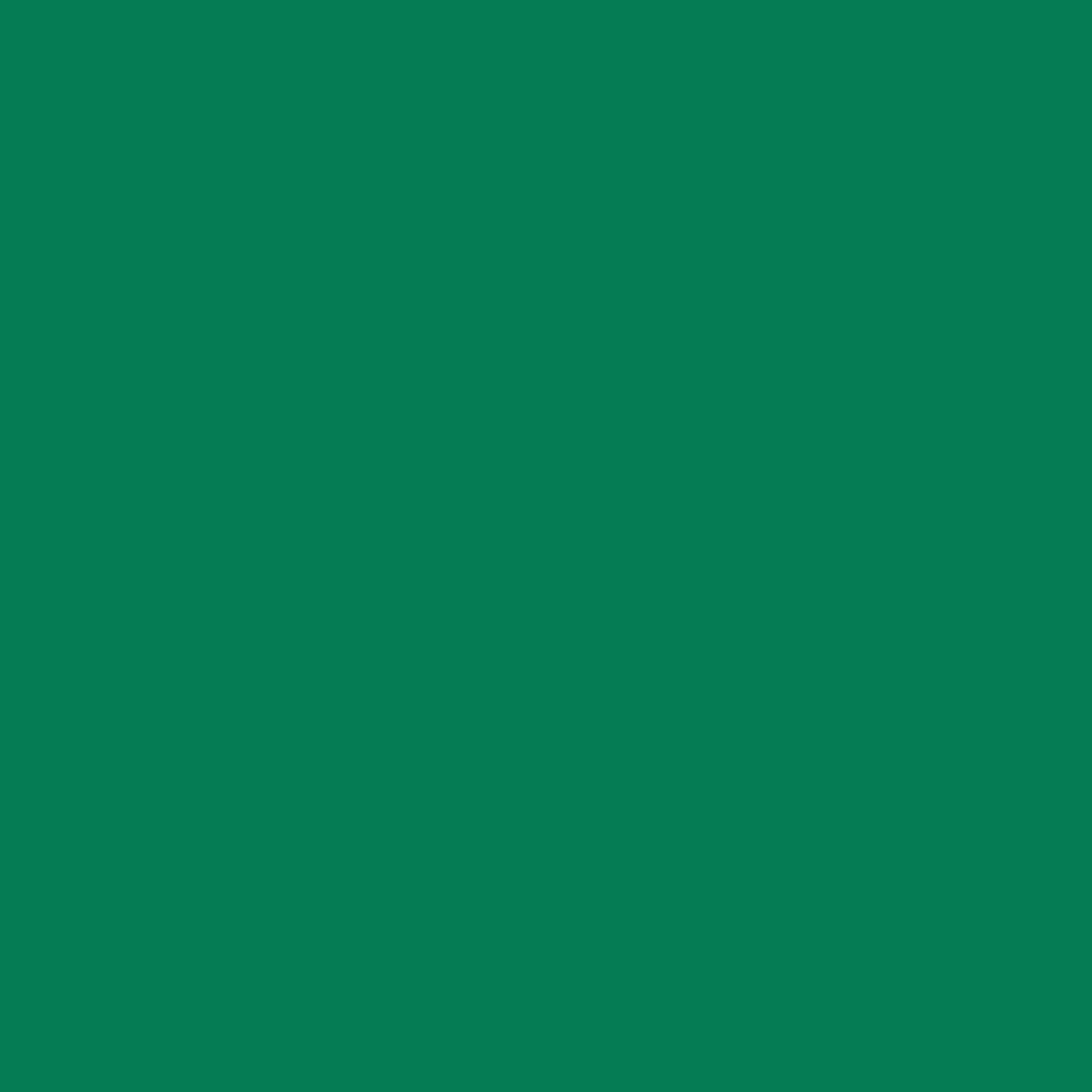 Roppe Vinyl Base 683 Irish Green 2.5" x 4' Piecesby .080" Cove (with Toe)