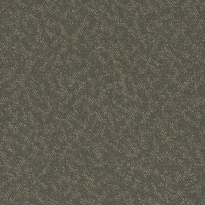 Pentz Carpet Animated 7040T-2133 Exuberant 24" x 24" (72 SF/Box)