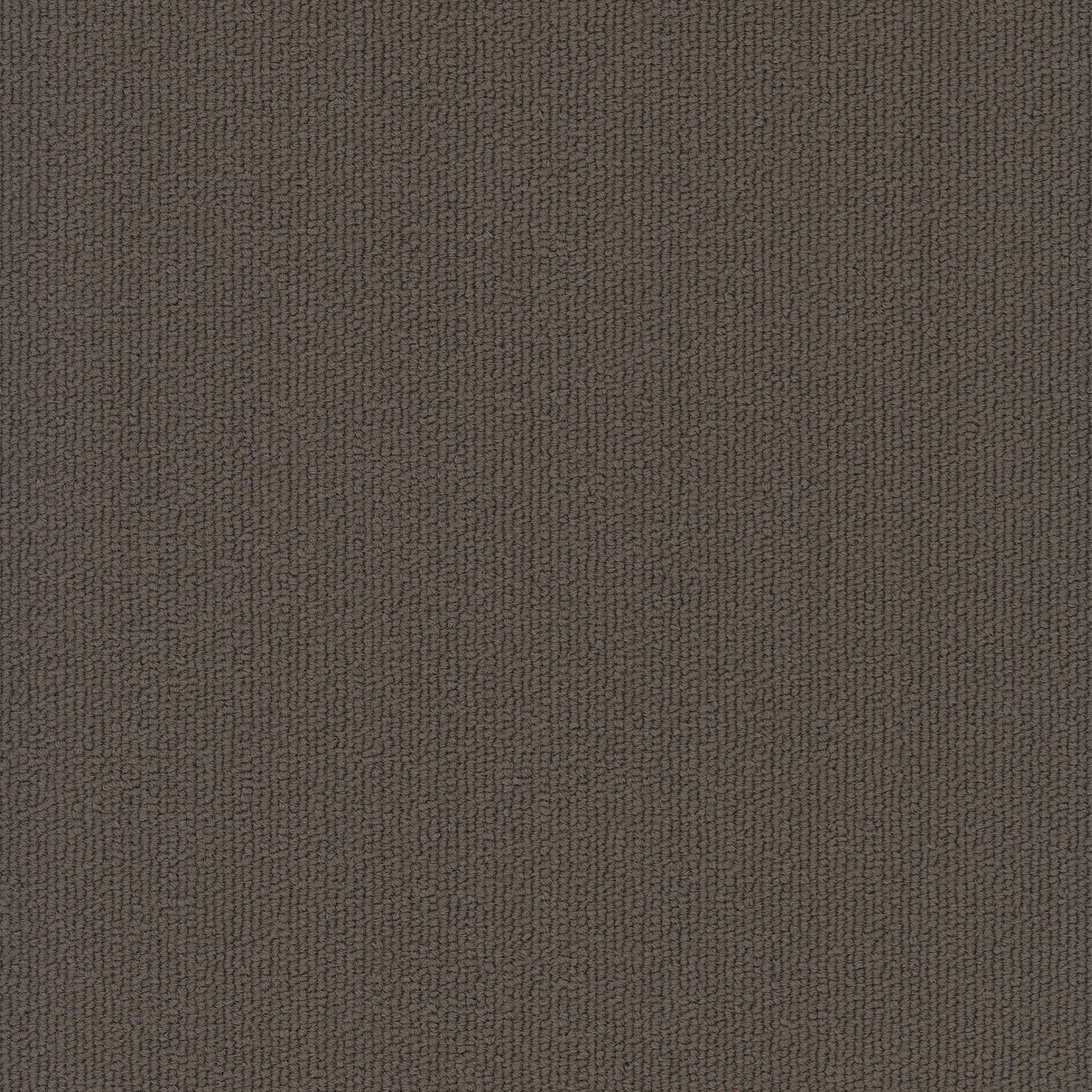 Pentz Carpet Colorburst Plank 7049P-3140 Carob 12" X 48"