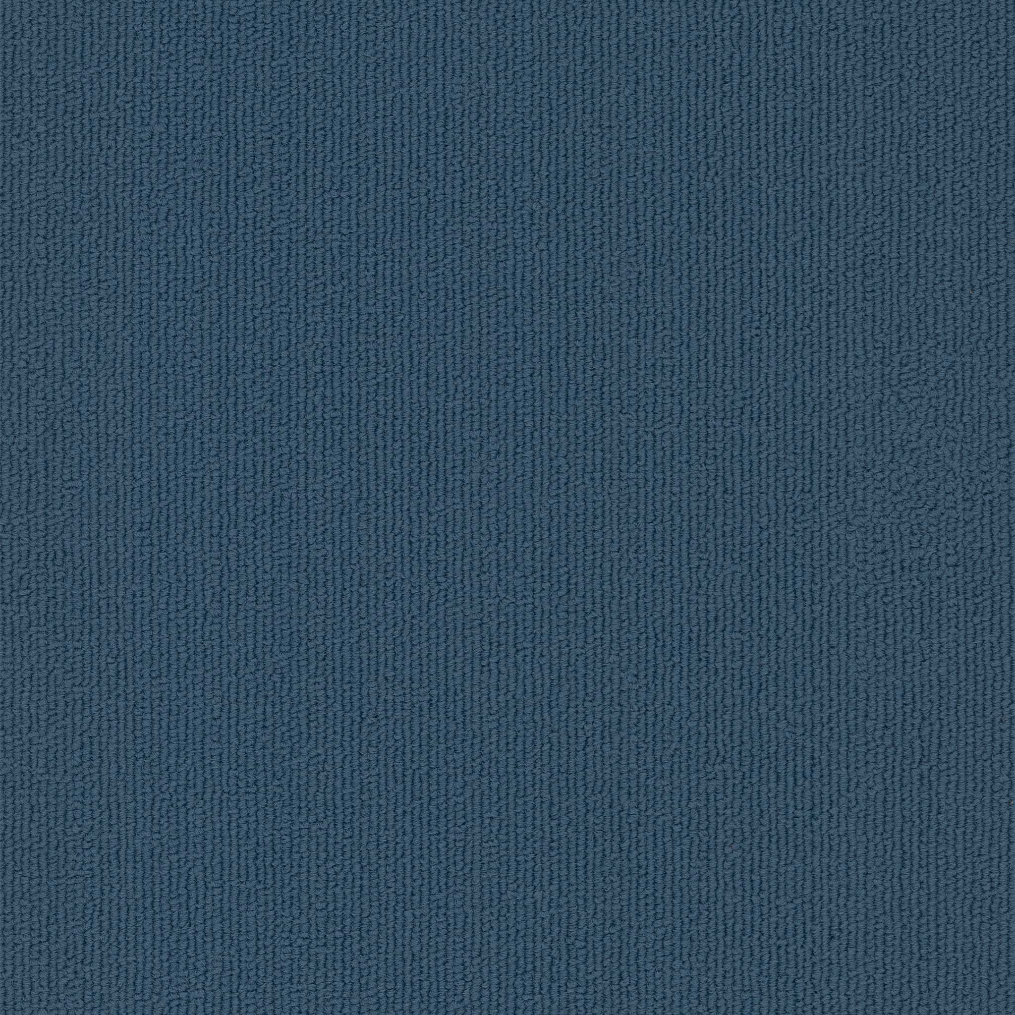 Pentz Carpet Colorburst Plank 7049P-3141 Matte Lake 12" x 48" (55.98 SF/Box)