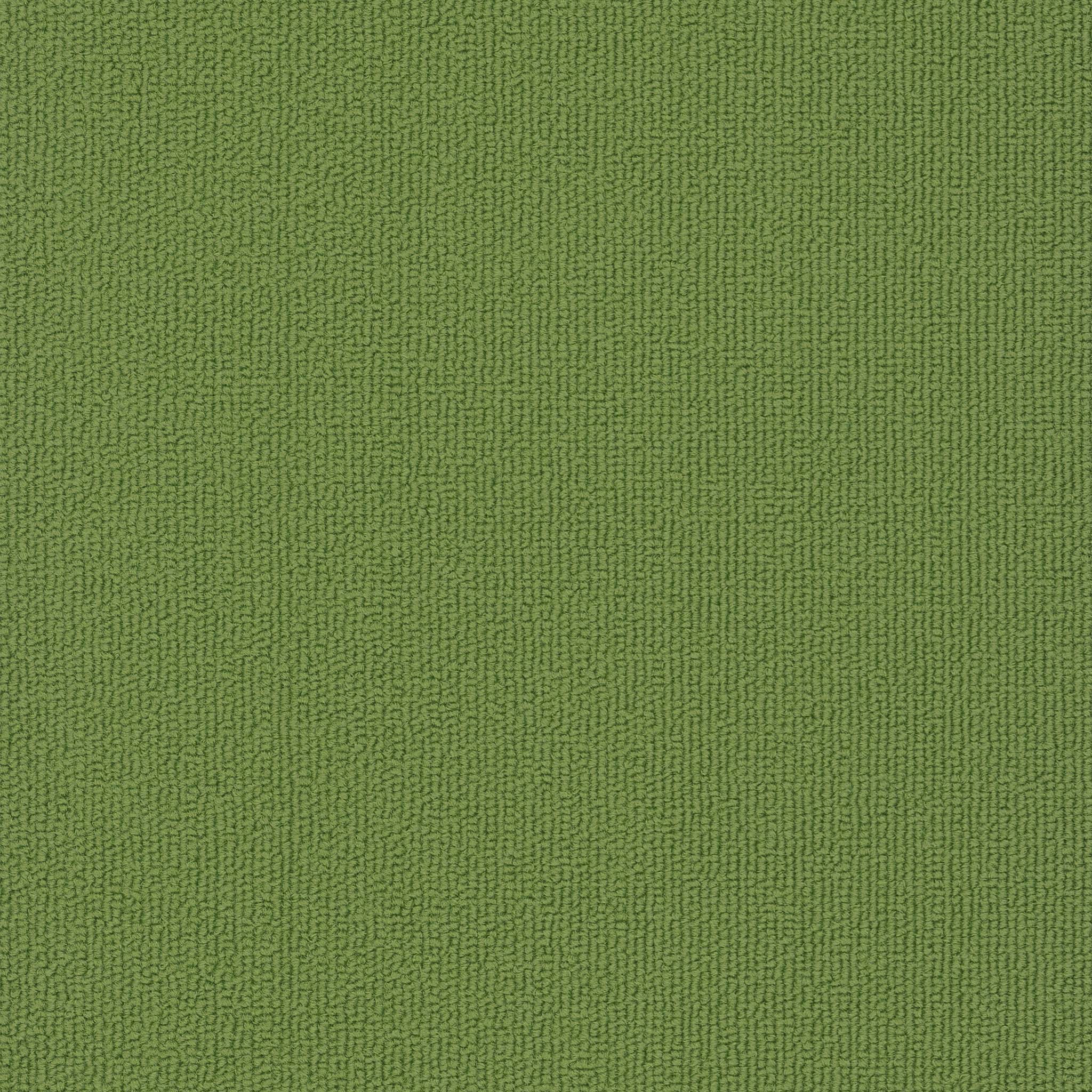 Pentz Carpet Colorburst Plank 7049P-3147 Parrot 12" x 48" (55.98 SF/Box)