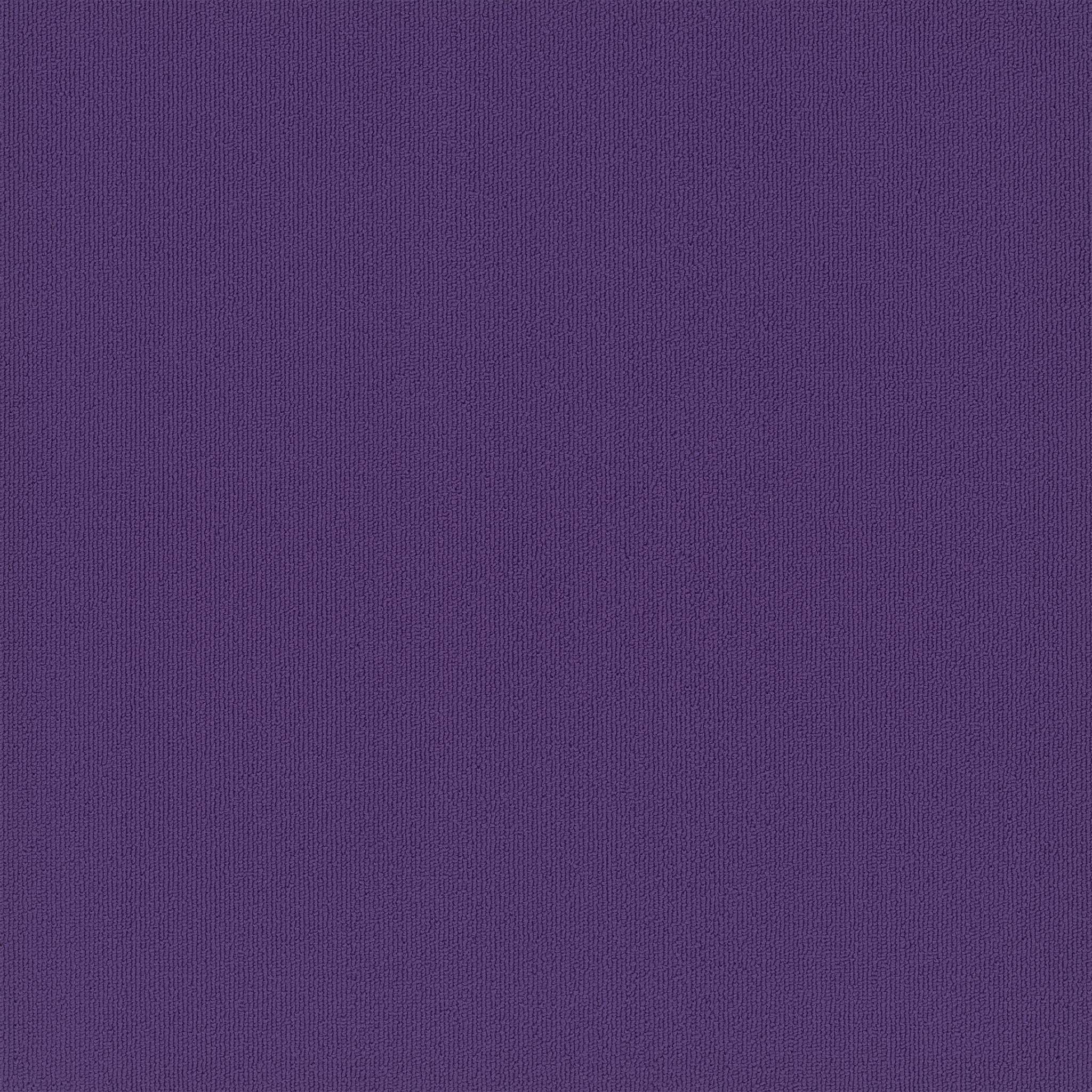 Pentz Carpet Colorburst 7049T-3136 Royal Purple 24" X 24"