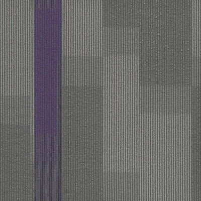 Pentz Carpet Amplify 7053T-3136 Royal Purple 24" x 24" (72 SF/Box)