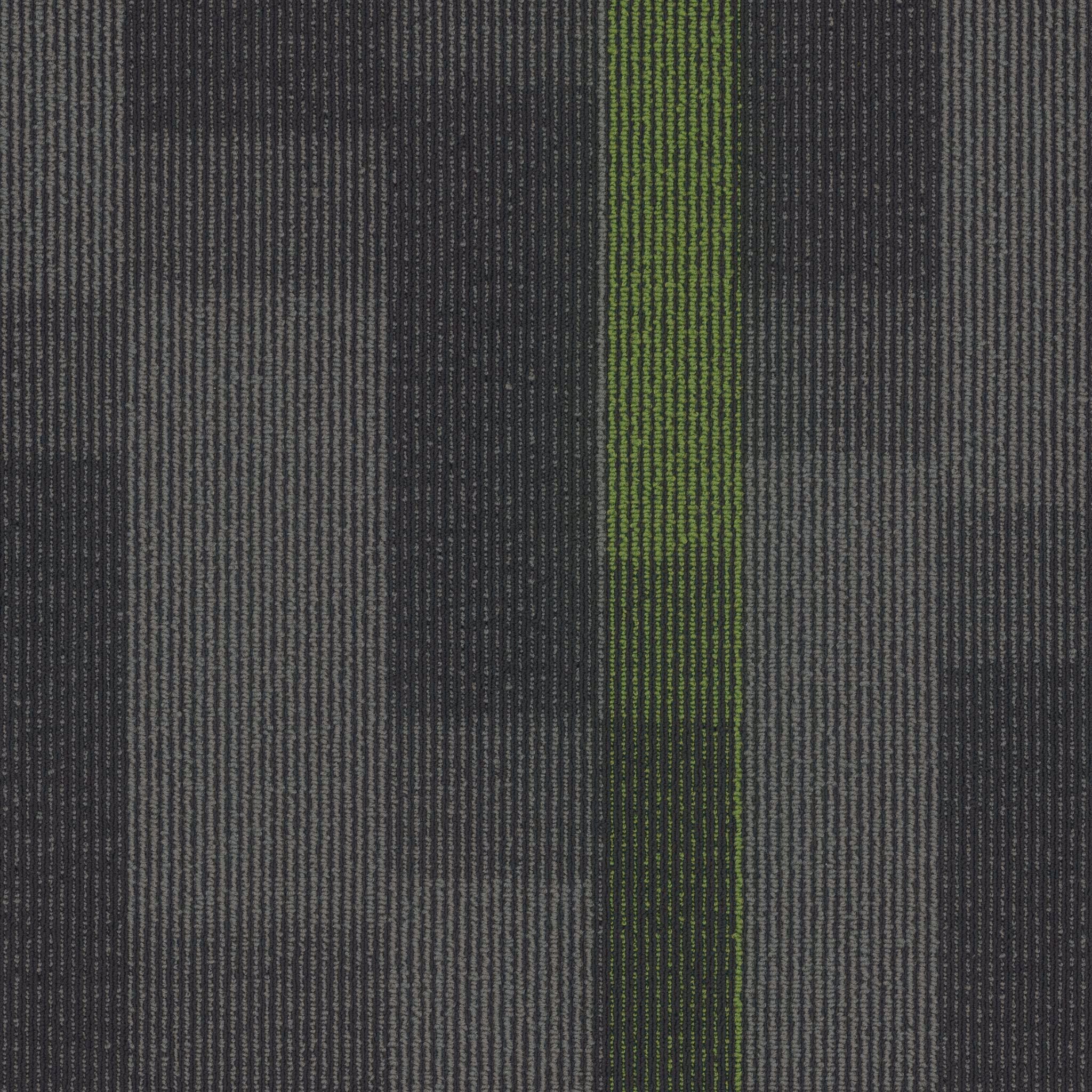 Pentz Carpet Magnify 7054T-3147 Parrot 24" x 24" (72 SF/Box)