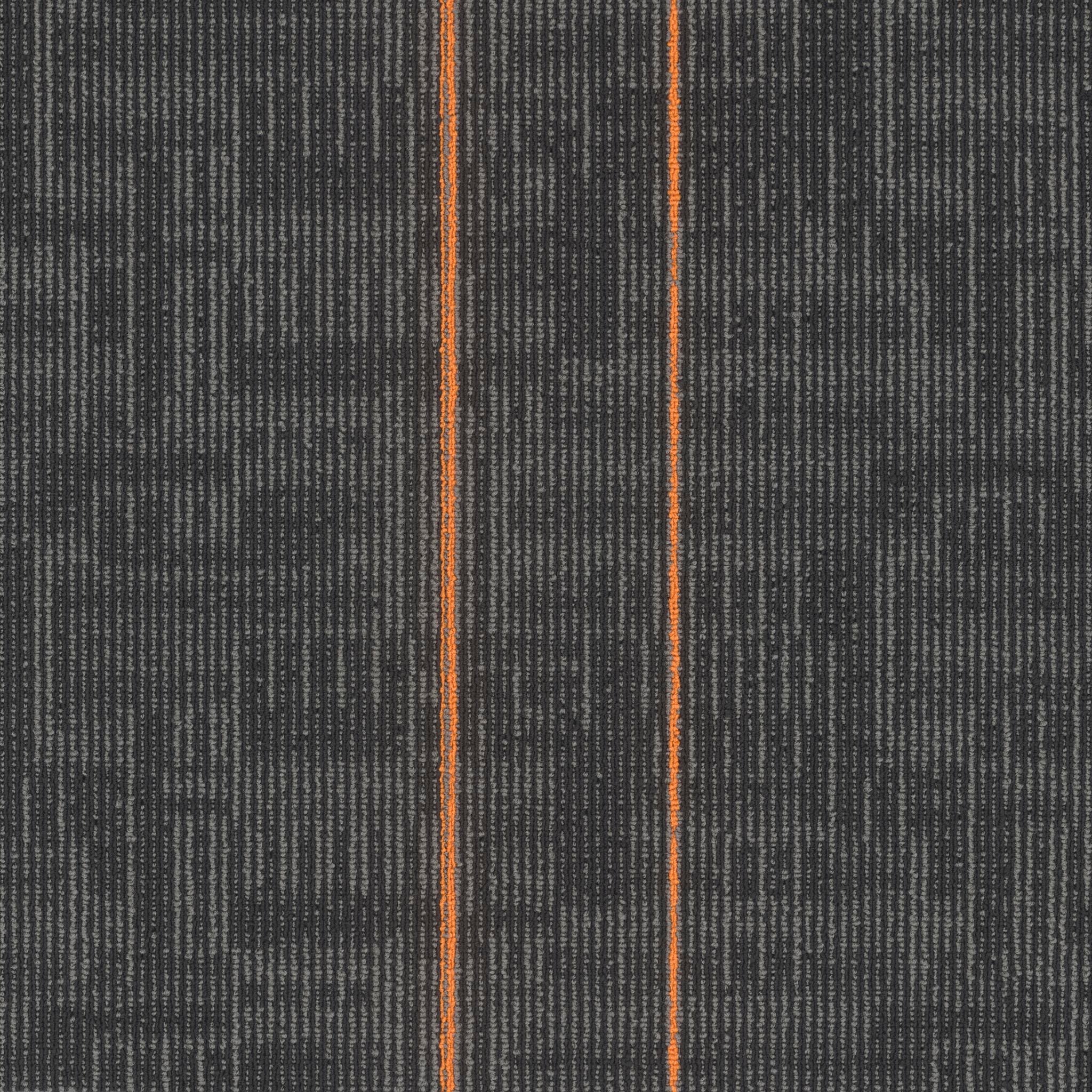 Pentz Carpet Echo 7055T-3142 Sunburst 24" X 24"