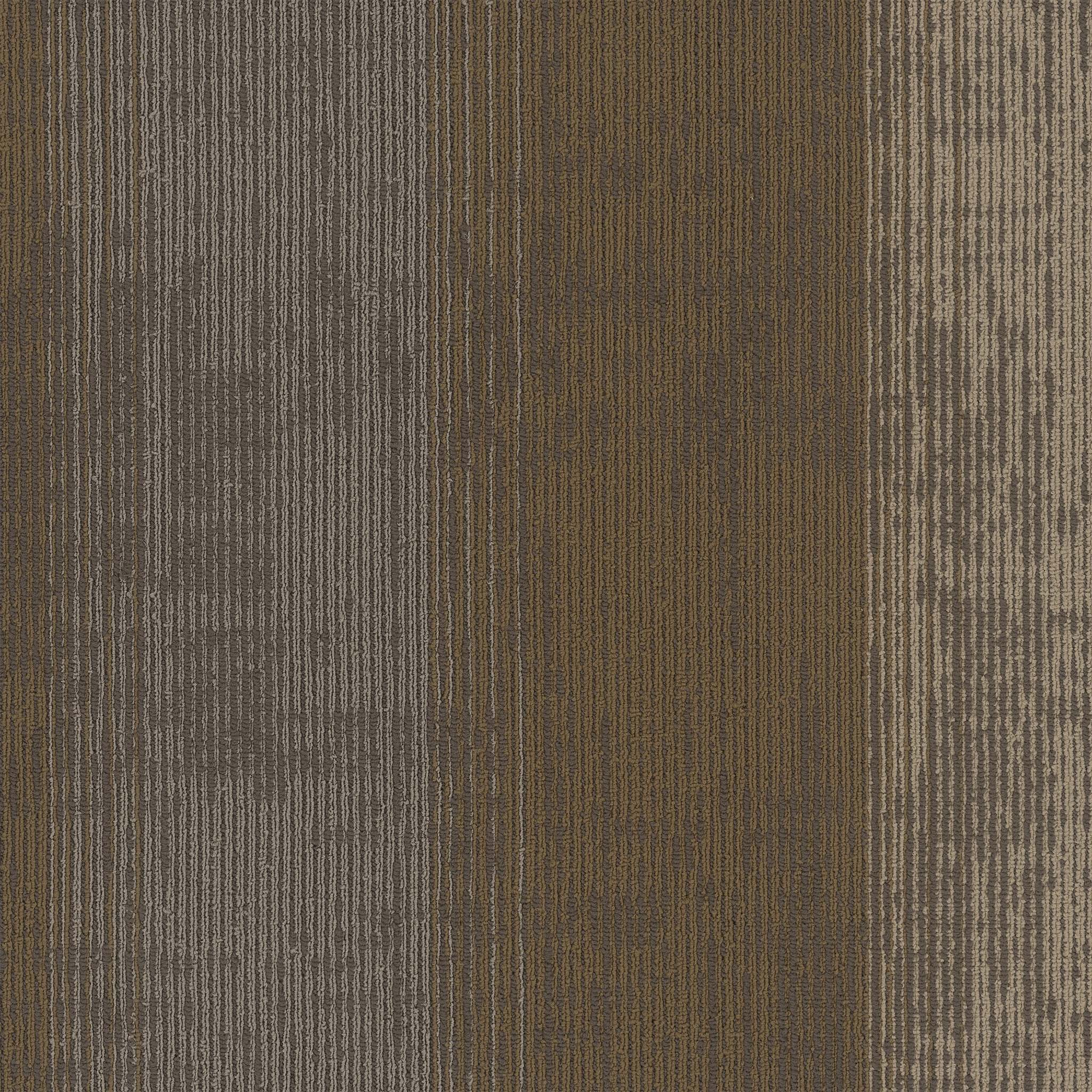 Pentz Carpet Universe 7086T-3052 Ecliptic 24" X 24"