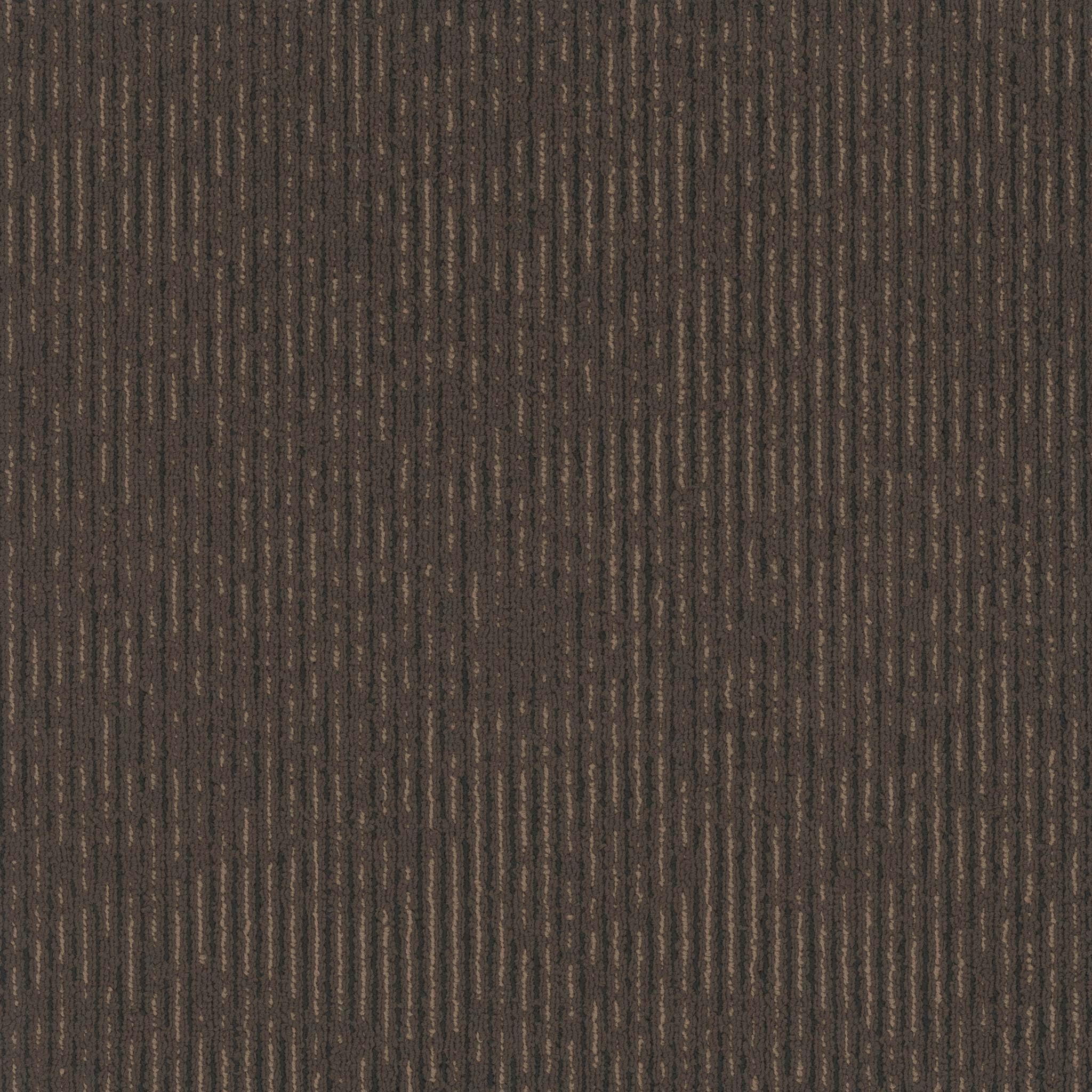 Pentz Carpet Essence 7088T-3117 Quintessence 24" X 24"