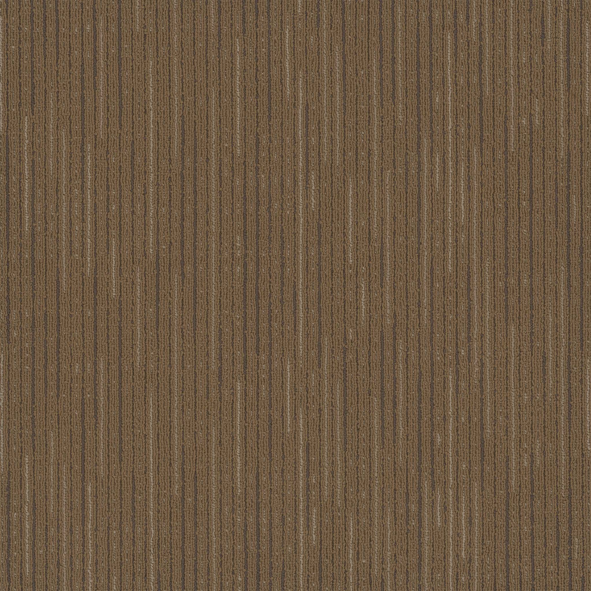 Pentz Carpet Vitality 7093T-3118 Nature 24" X 24"